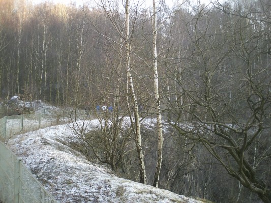 Pict0017.jpg