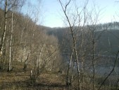 Pict0016.jpg