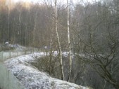 Pict0017.jpg