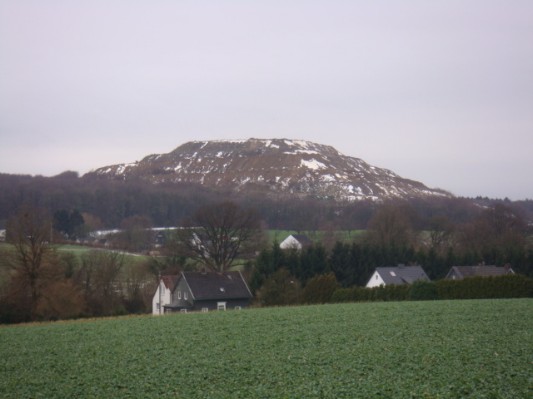 DSC00803.JPG
