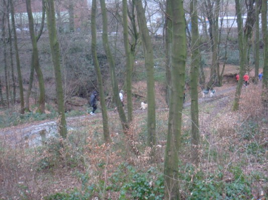 DSC00748.JPG