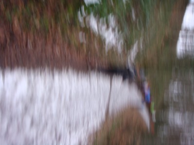 DSC00776.JPG