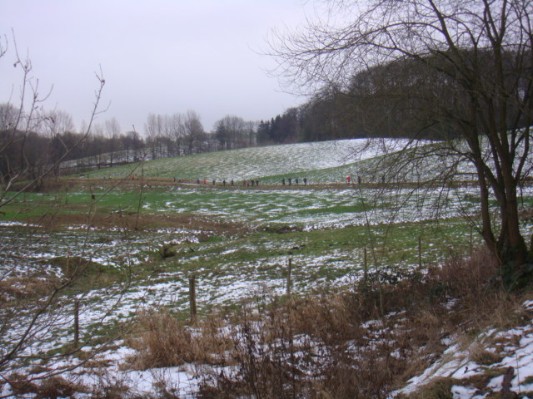 DSC00780.JPG