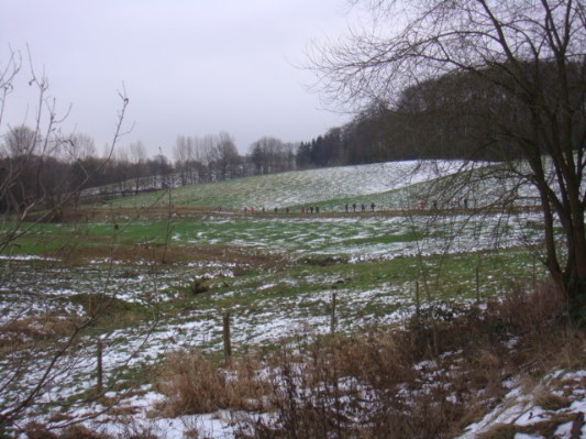 DSC00781.JPG