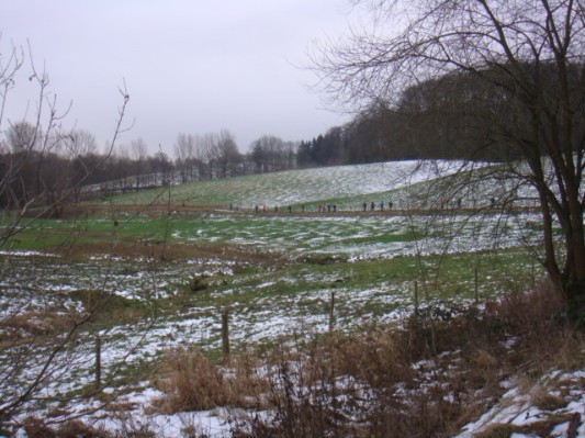 DSC00782.JPG